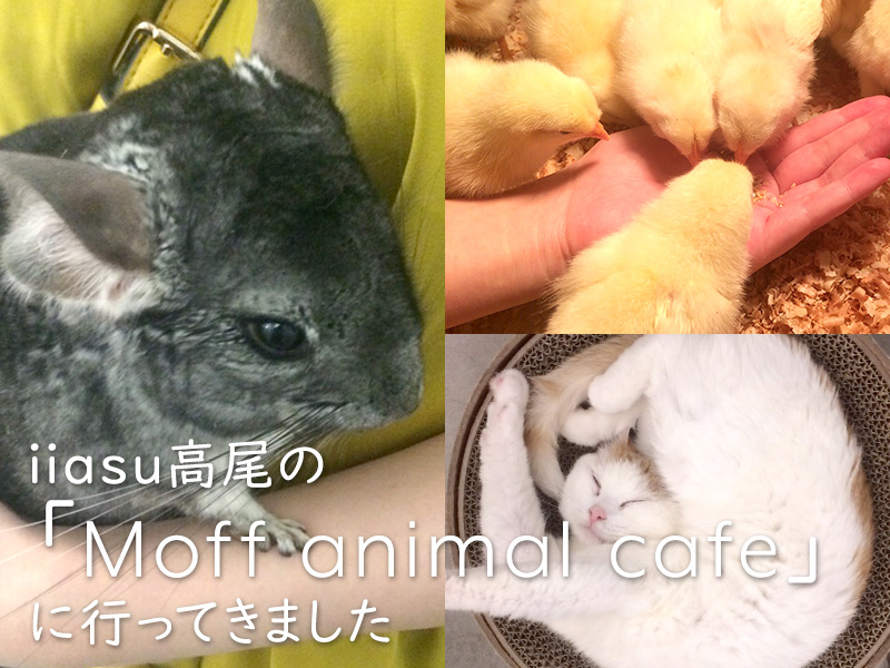 iiasu高尾のMoff animal cafe